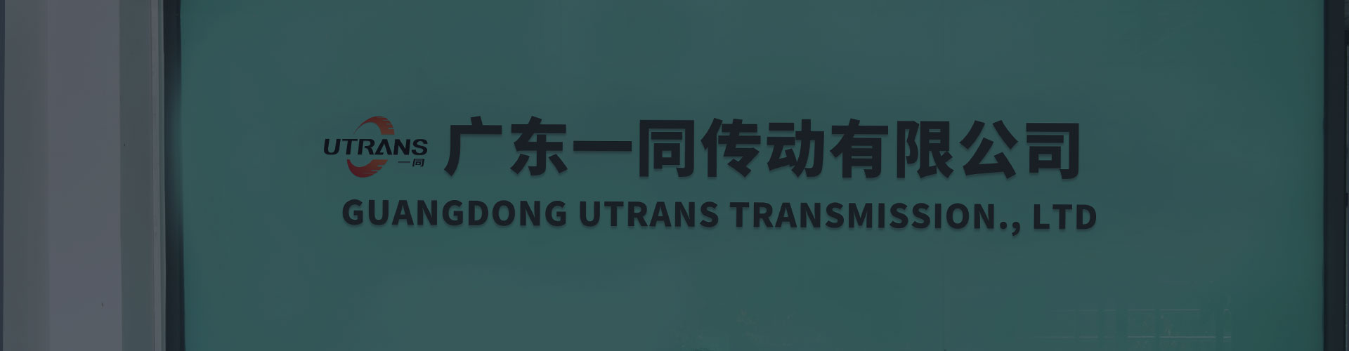 联系美彩国际
